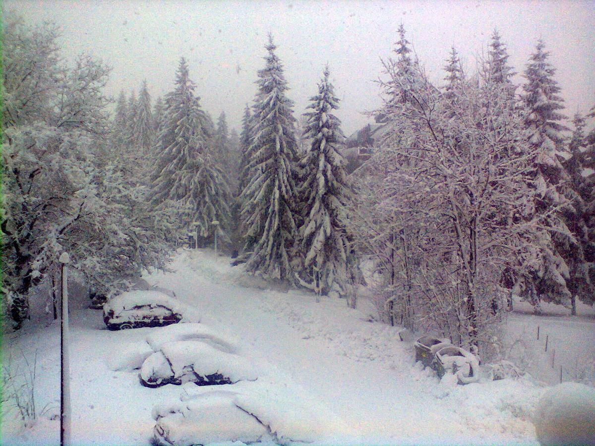 Апартаменты Apartment Zuric Колашин