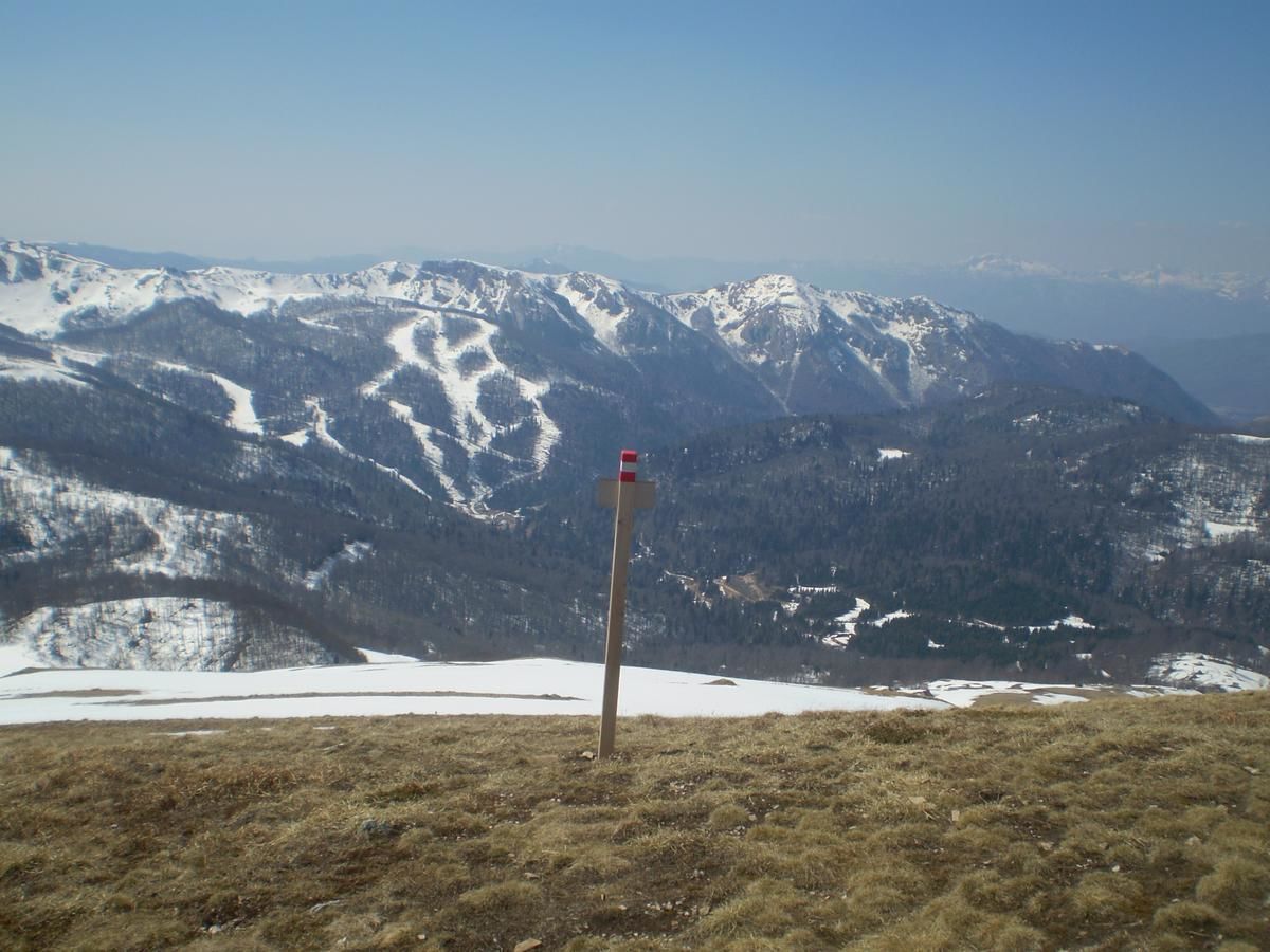 Апартаменты Apartment Zuric Колашин