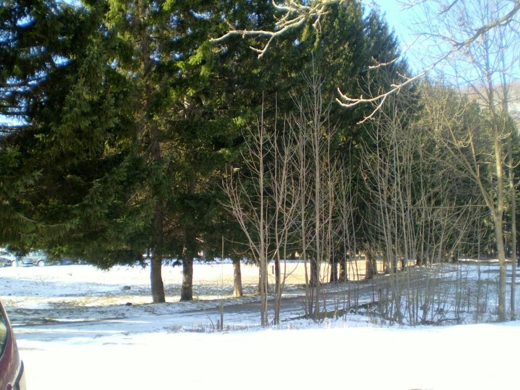 Апартаменты Apartment Zuric Колашин