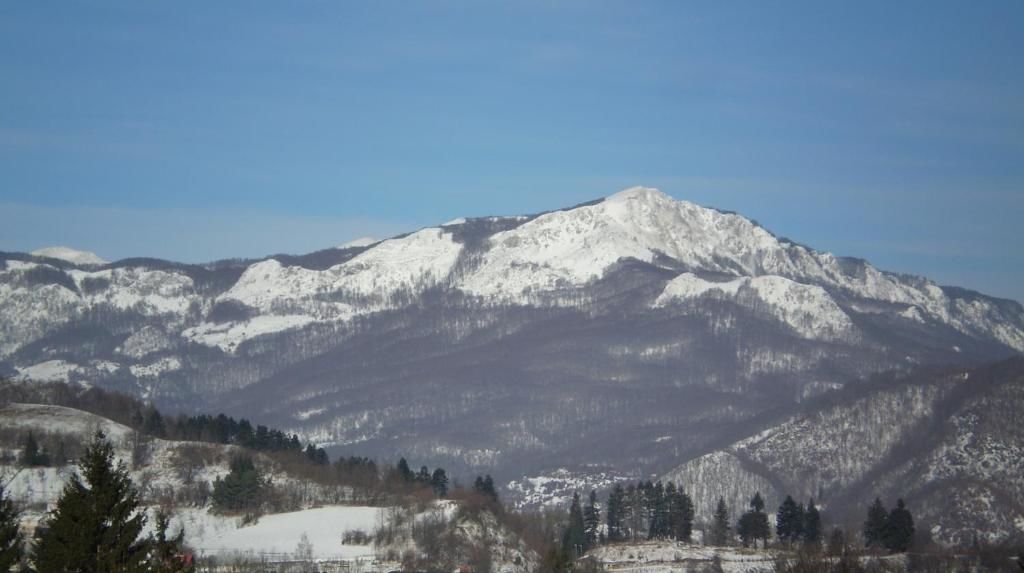 Апартаменты Apartment Zuric Колашин