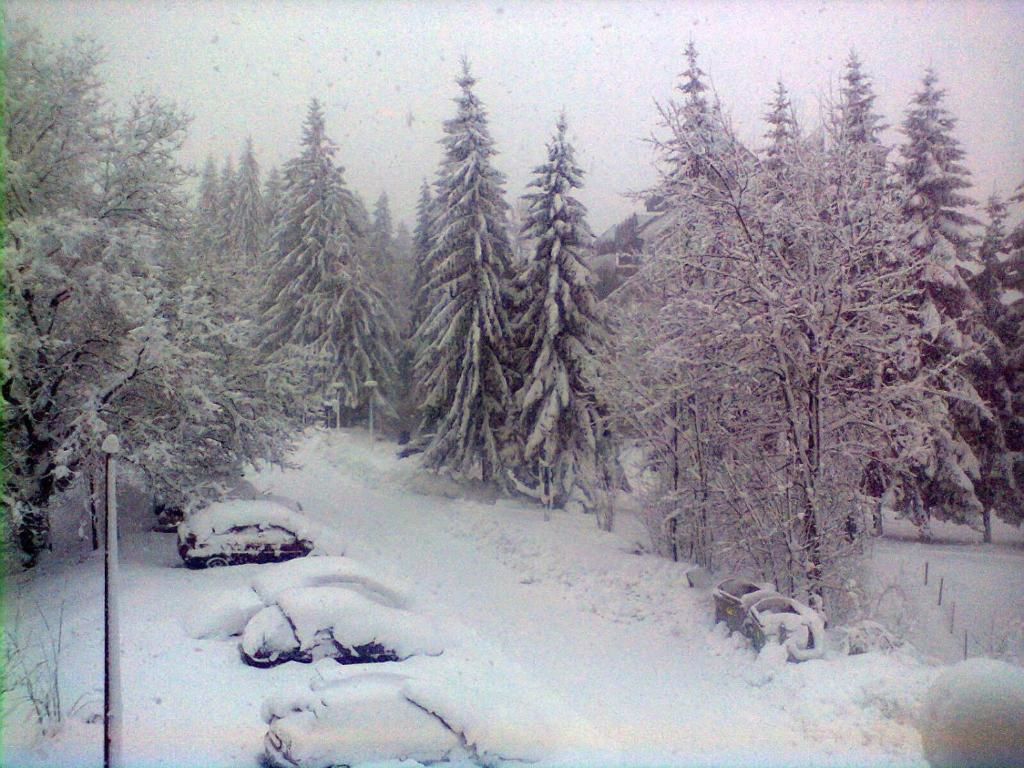 Апартаменты Apartment Zuric Колашин