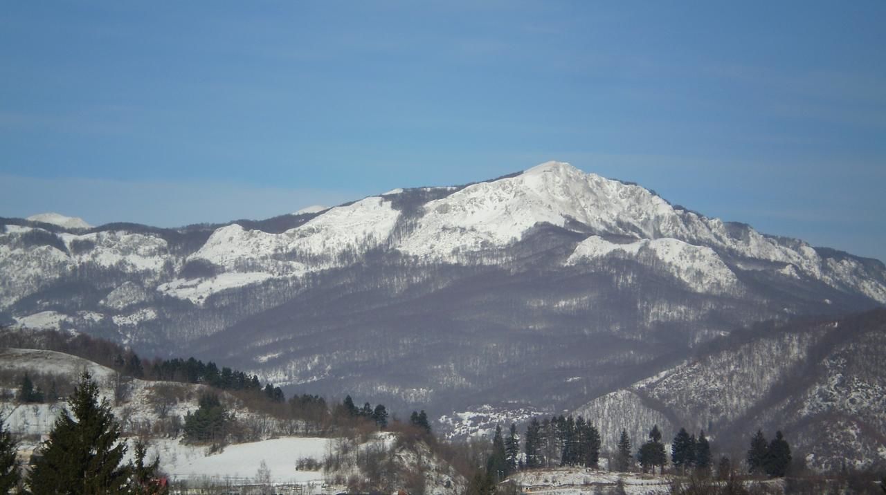 Апартаменты Apartment Zuric Колашин