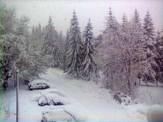 Апартаменты Apartment Zuric Колашин Апартаменты с душем-12