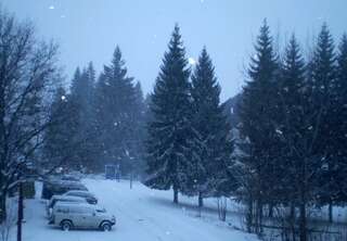 Апартаменты Apartment Zuric Колашин Апартаменты с душем-14