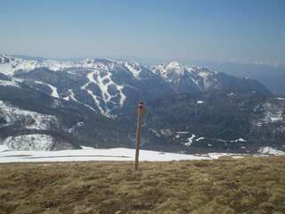 Апартаменты Apartment Zuric Колашин Апартаменты с душем-16