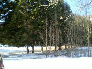 Апартаменты Apartment Zuric Колашин Апартаменты с душем-28