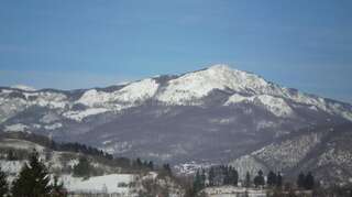 Апартаменты Apartment Zuric Колашин Апартаменты с душем-30