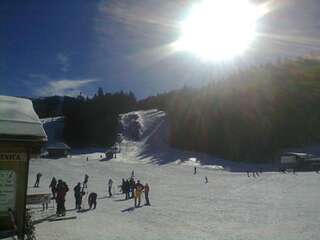 Апартаменты Apartment Zuric Колашин Апартаменты с душем-33