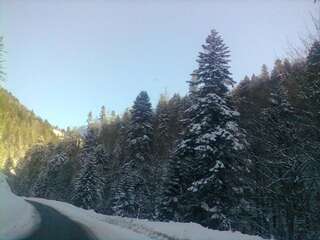 Апартаменты Apartment Zuric Колашин Апартаменты с душем-34