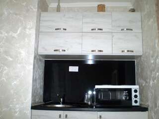 Апартаменты Apartment Zuric Колашин Апартаменты с душем-36