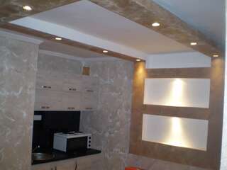 Апартаменты Apartment Zuric Колашин Апартаменты с душем-4