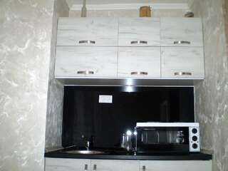 Апартаменты Apartment Zuric Колашин Апартаменты с душем-5