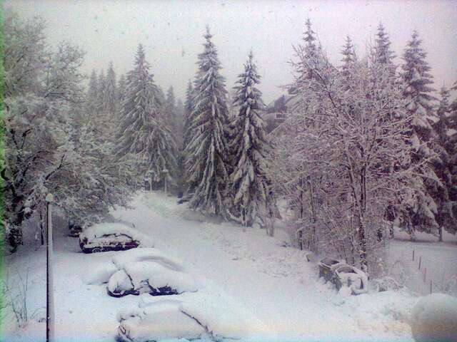 Апартаменты Apartment Zuric Колашин-14