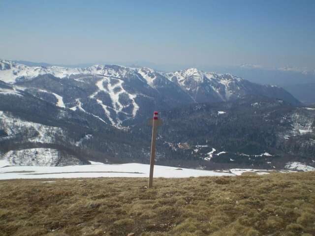 Апартаменты Apartment Zuric Колашин-44